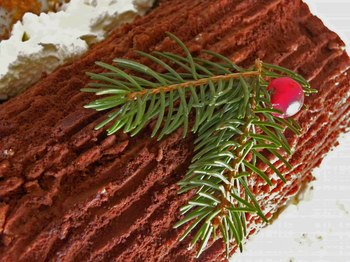 Tronchetto Di Natale Con Castagne.Tronchetto Di Castagne E Cioccolato Giardinofiorito